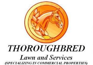 Thoroughbred Lawn and Services LLC